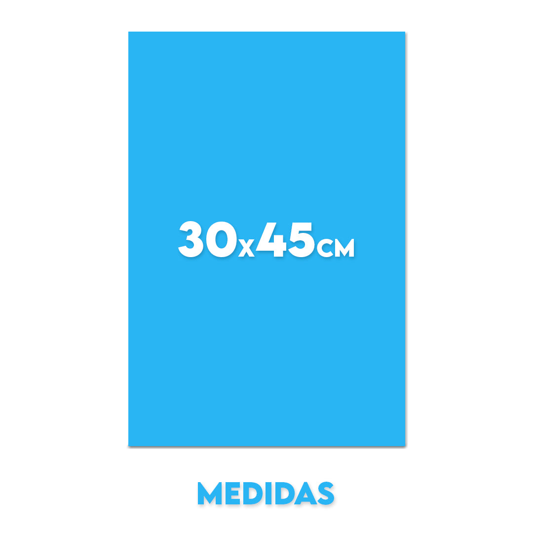 Cuadro 30x45cm (vertical)