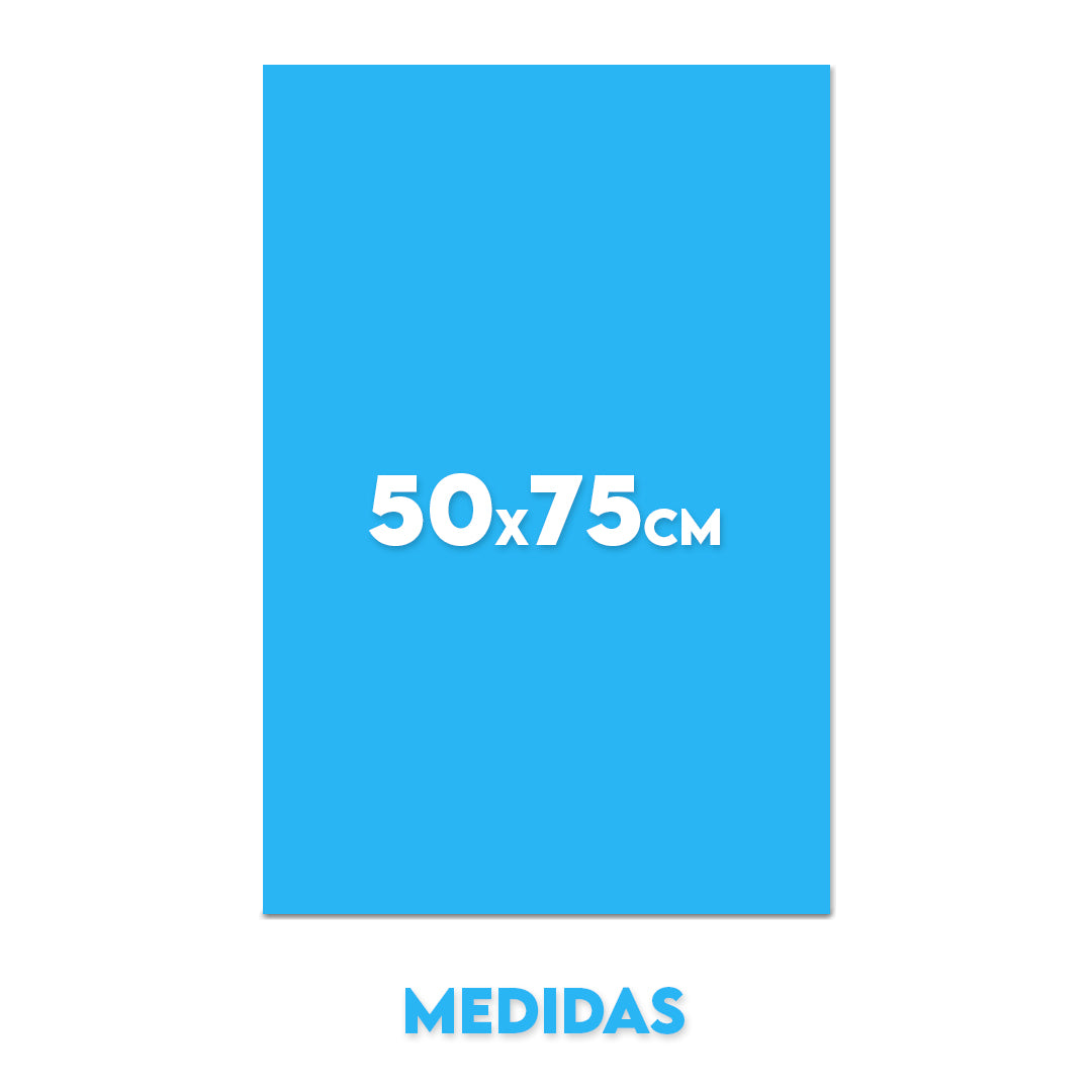 Cuadro 50x75cm (vertical)
