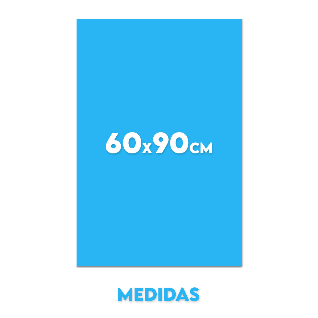 Cuadro 60x90cm (vertical)