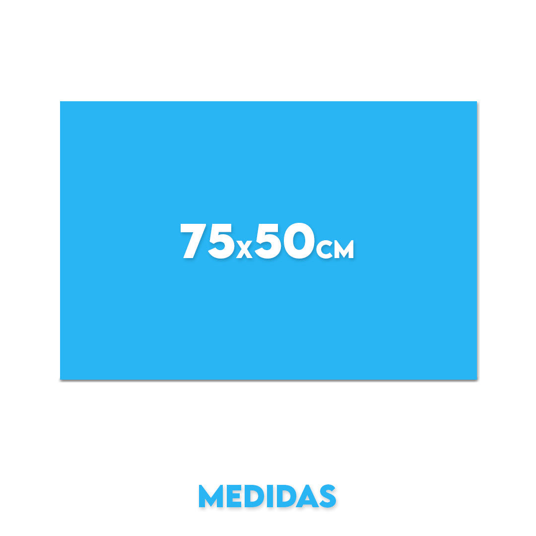 Cuadro 75x50cm (horizontal)
