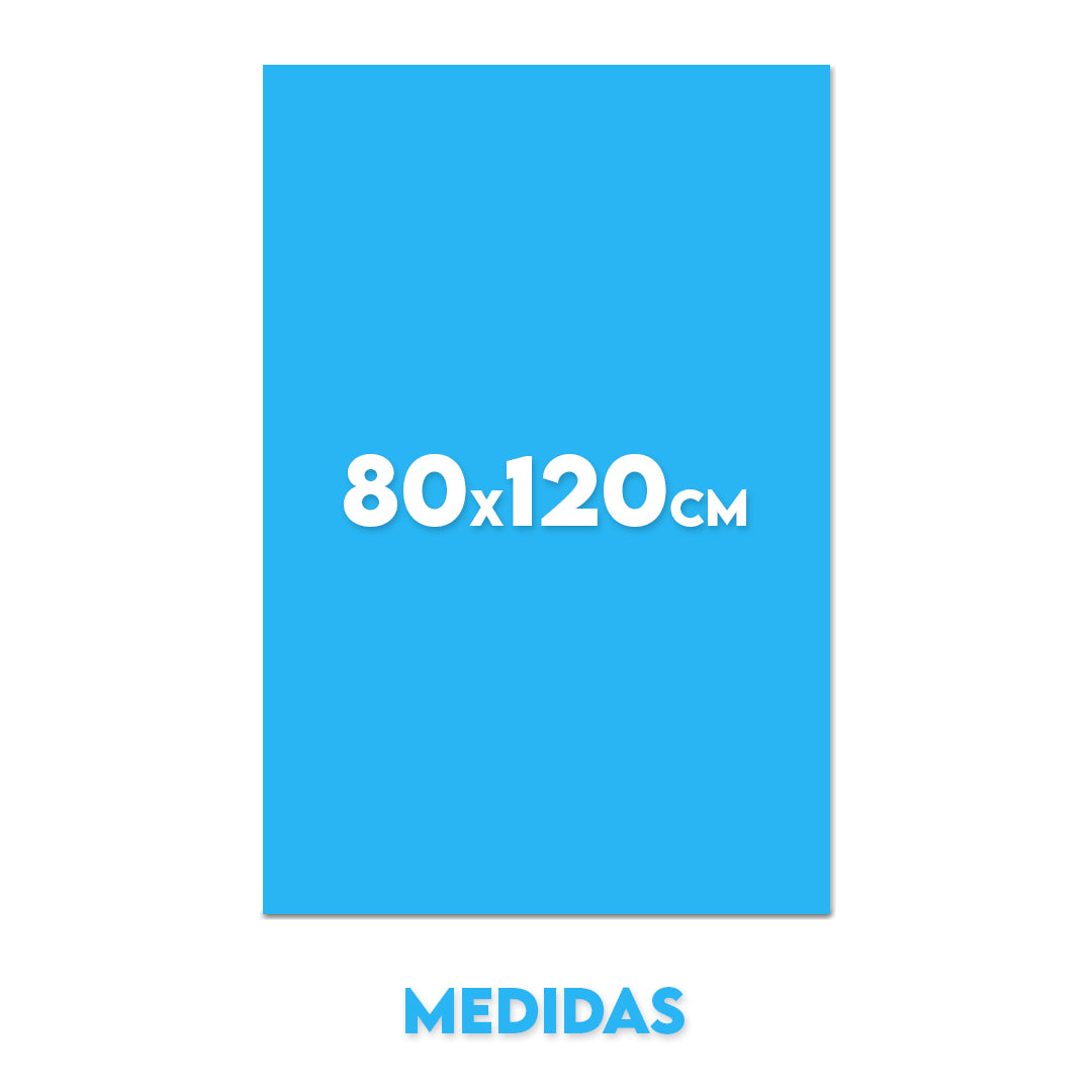 Cuadro 80x120cm (vertical)