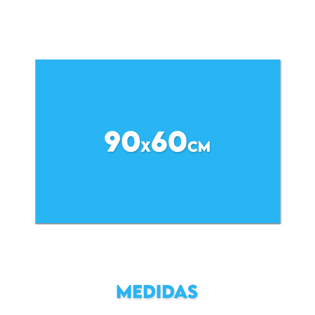 Cuadro 90x60cm (Horizontal)