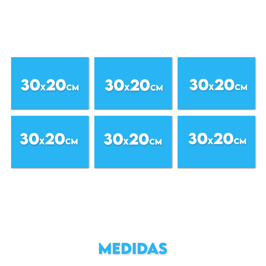 Set 11 (6 Cuadros)