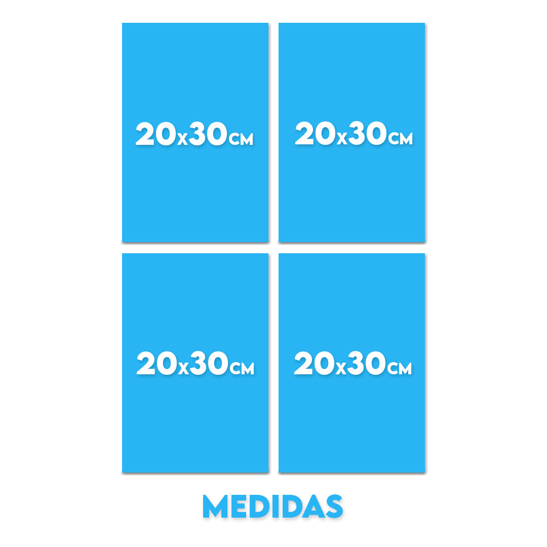Set 2 (4 Cuadros)