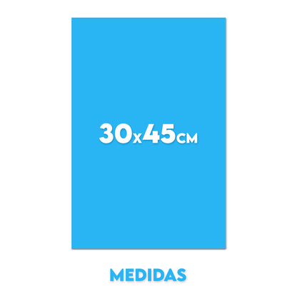 Cuadro 30x45cm (vertical)