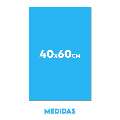Cuadro 40x60cm (vertical)