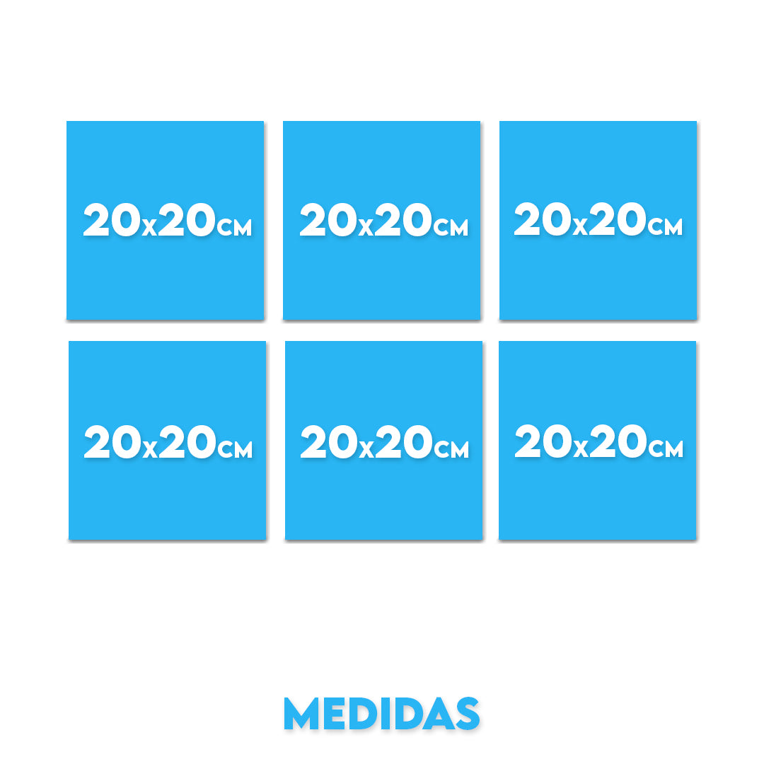 Set 10 (6 Cuadros)