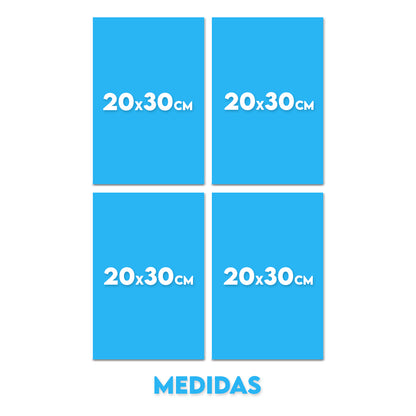 Set 2 (4 Cuadros)