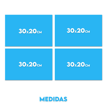 Set 3 (4 Cuadros)
