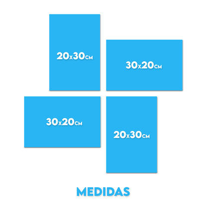 Set 6 (4 Cuadros)